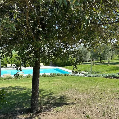 Sogno Delle Api *