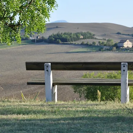 Sogno Delle Api *