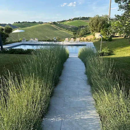 Sogno Delle Api * Belvedere Ostrense
